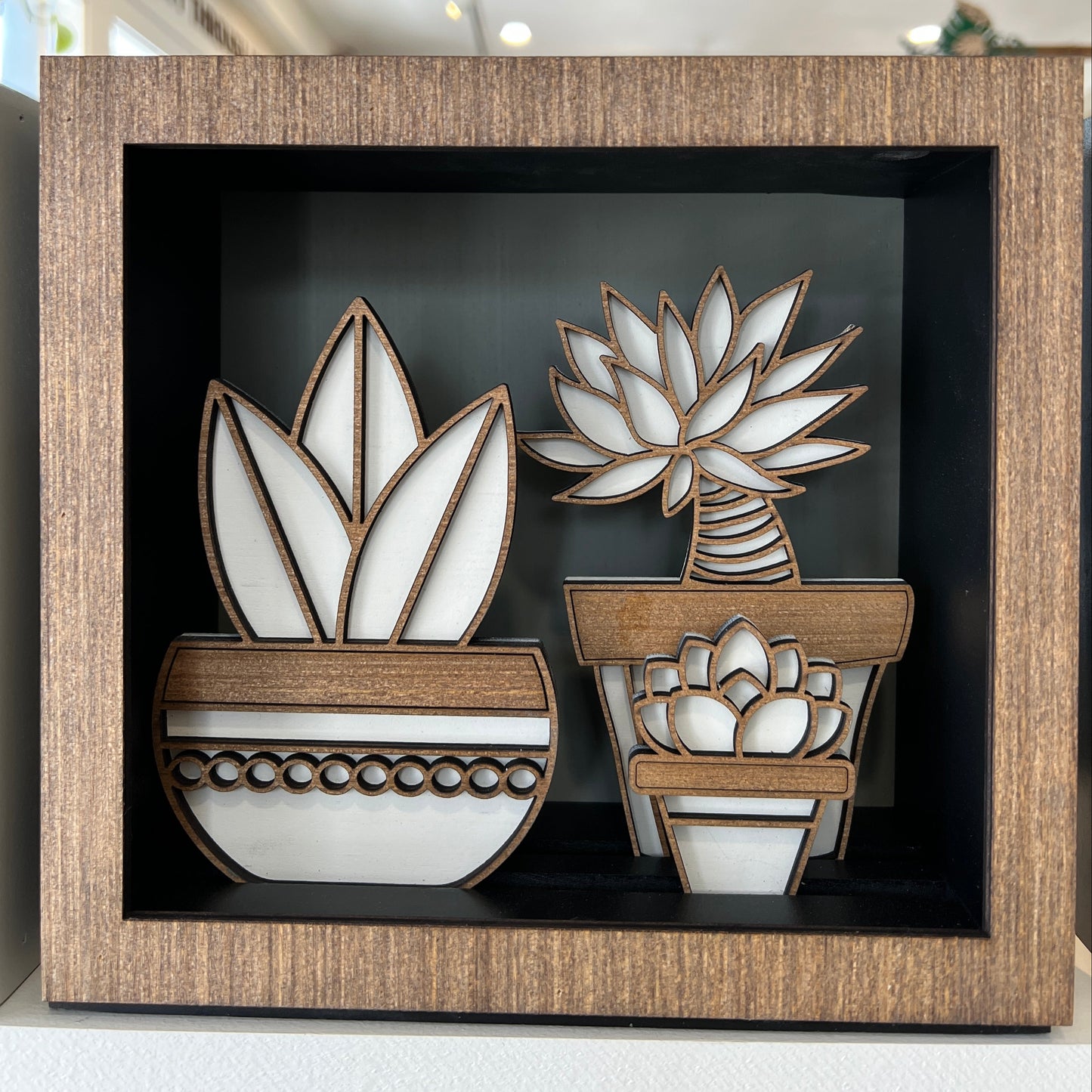 Plant Palooza Shadow Box