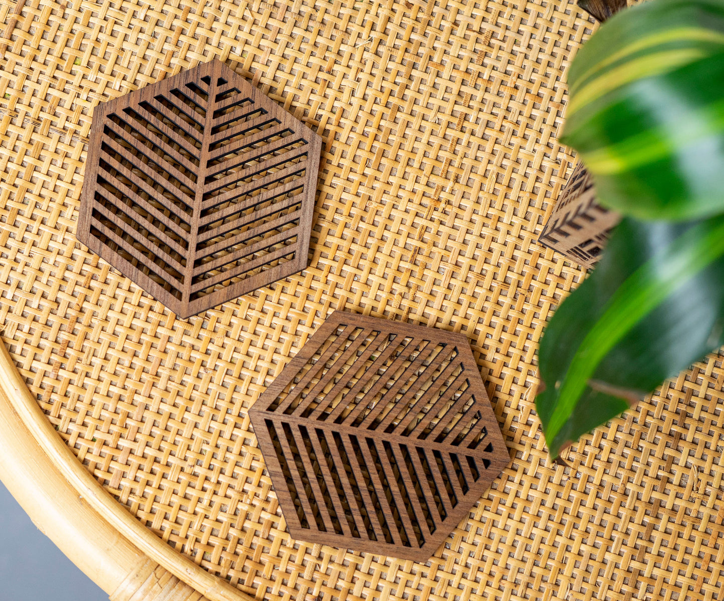 Botanical Coaster Set