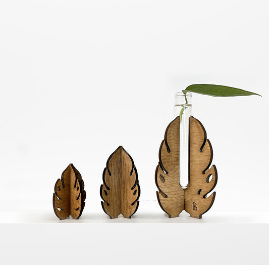 Monstera Propagator Set